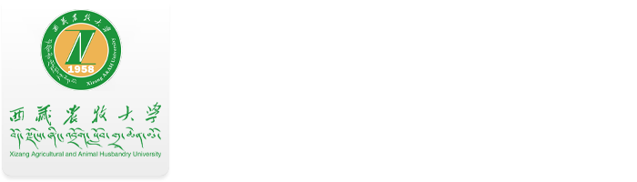 本科教育教学工作审核评估网